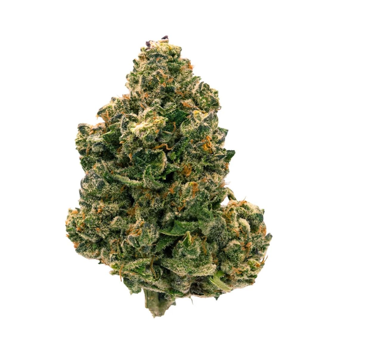 28g PARCEL-Citrus Notes