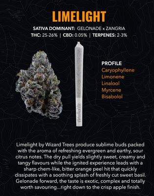5g SWEETGRASS ORGANIC-Limelight PR 10x.5g