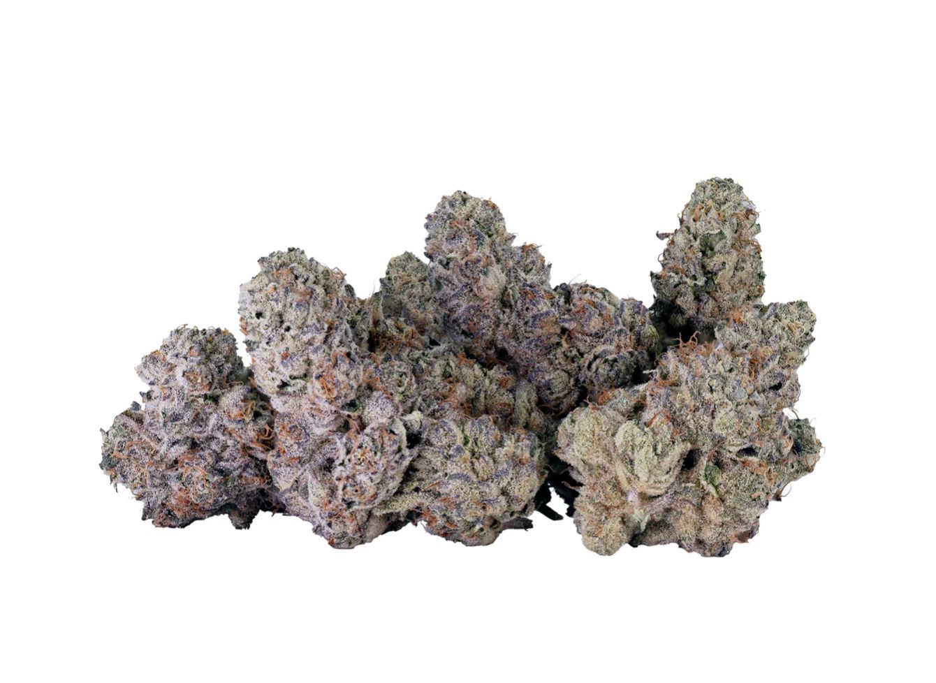 14g TRIBAL-Bubble Up