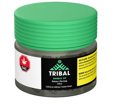 14g TRIBAL-Bubble Up