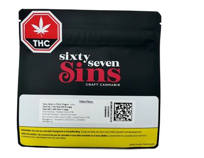 7g SIXTY SEVEN SINS-Mind Playa