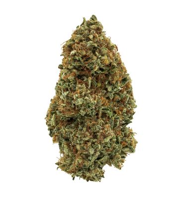 7g 1964-Sour Congo