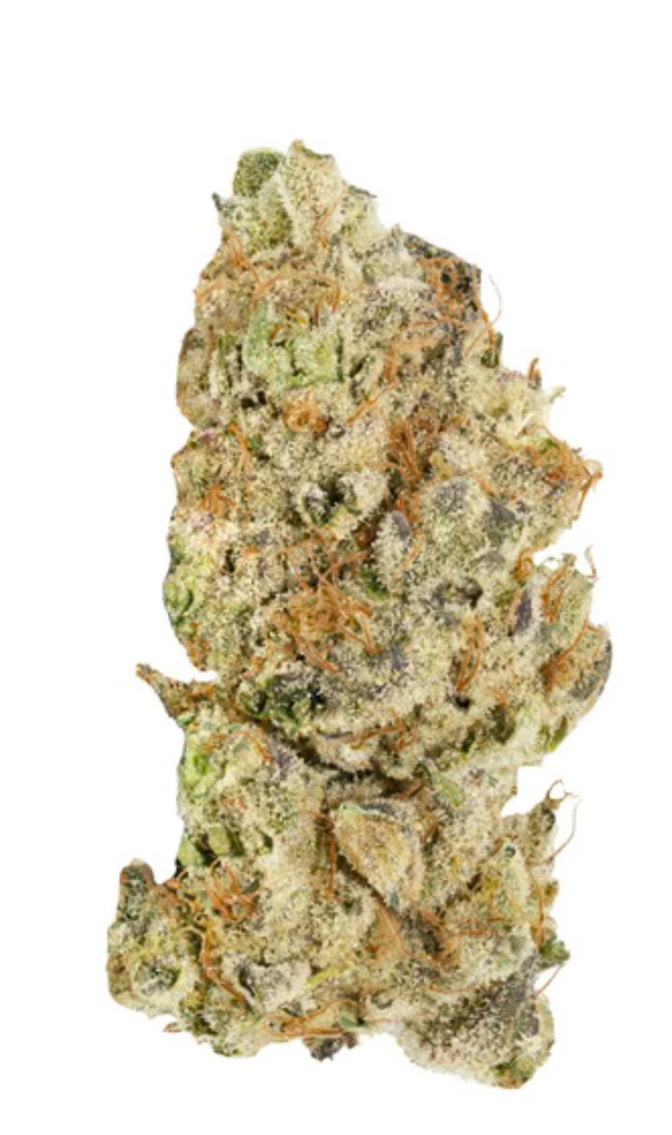 7g BROKEN COAST-Platinum Pave