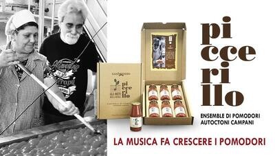 FAMILY BOX - 30 bottiglie di Piccerillo in 5 confezioni - Gli orti della musica / Gustarosso SPEDIZIONE INCLUSA