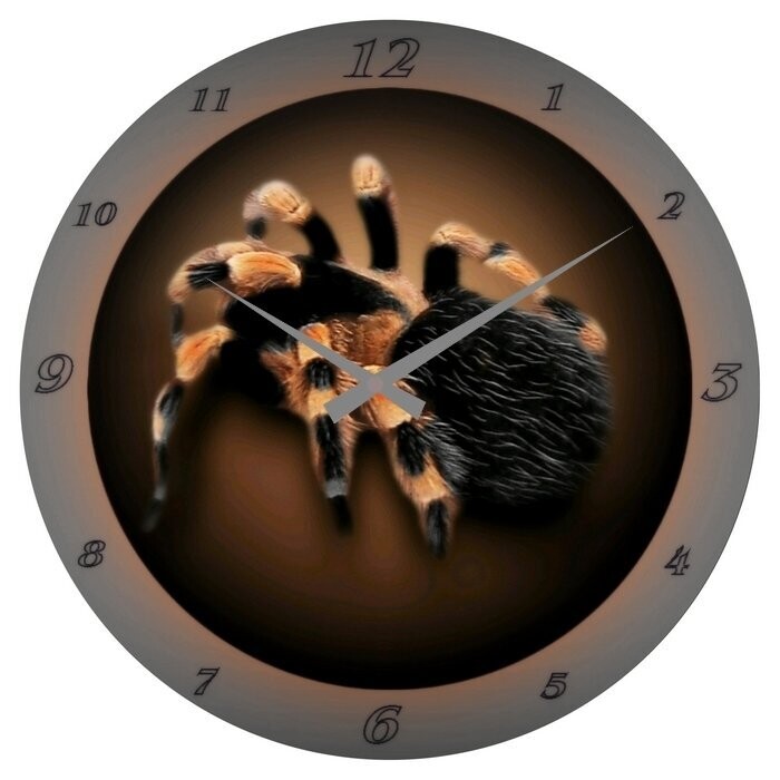 Wanduhr Tier - Spinne - Spider