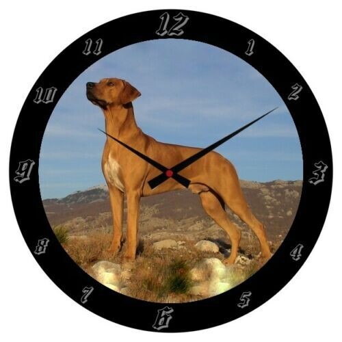 Wanduhr Tier - Hund - Rhodesian Ridgeback