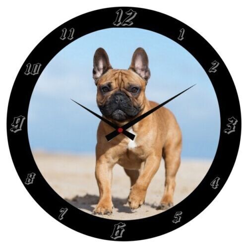 Wanduhr Tier - Hund - Franz.Bulldogge " Pitbull / Terrier