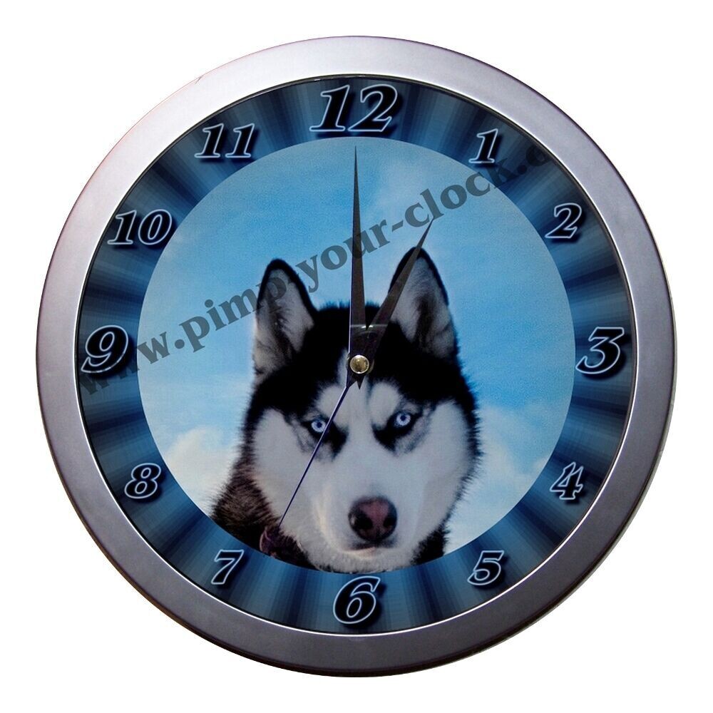 Wanduhr Tier - Hund Husky