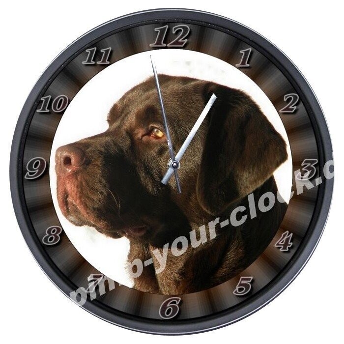 Wanduhr Tier - Hund - brauner Labrador