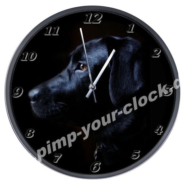 Wanduhr Tier - Hund - schwarzer  Labrador