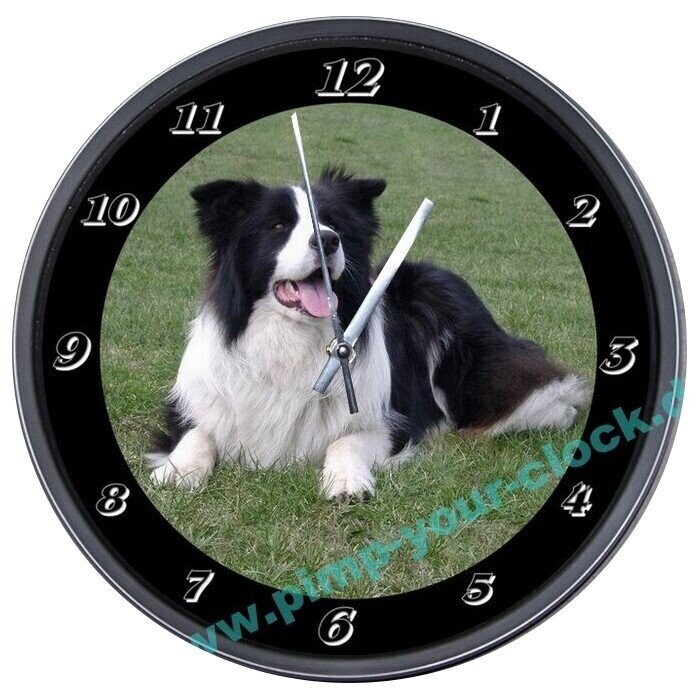 Wanduhr Tier - Hund - Border Collie