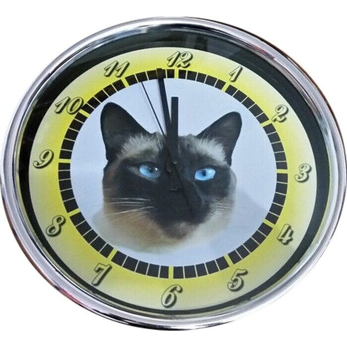Wanduhr Tier -  Katze