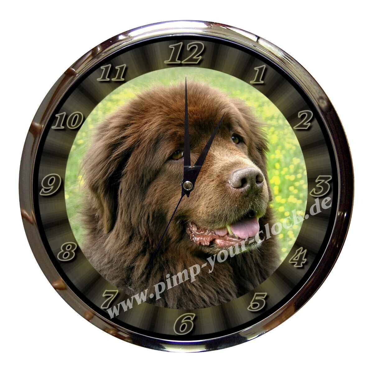 Wanduhr Tier -  Hund -  Neufundländer