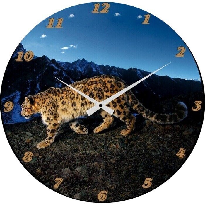 Wanduhr Tier -Leopard - Katze - Wildkatze