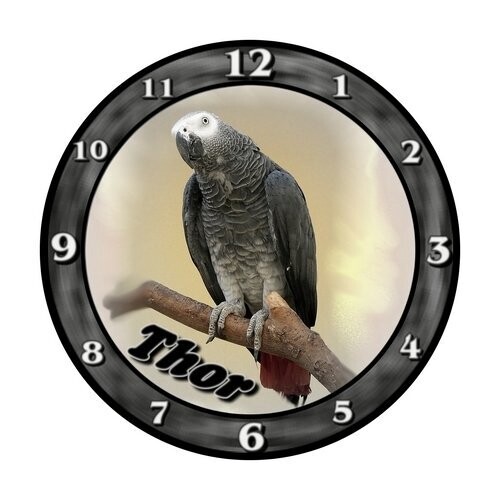 Graupapagei Uhr mit Namen