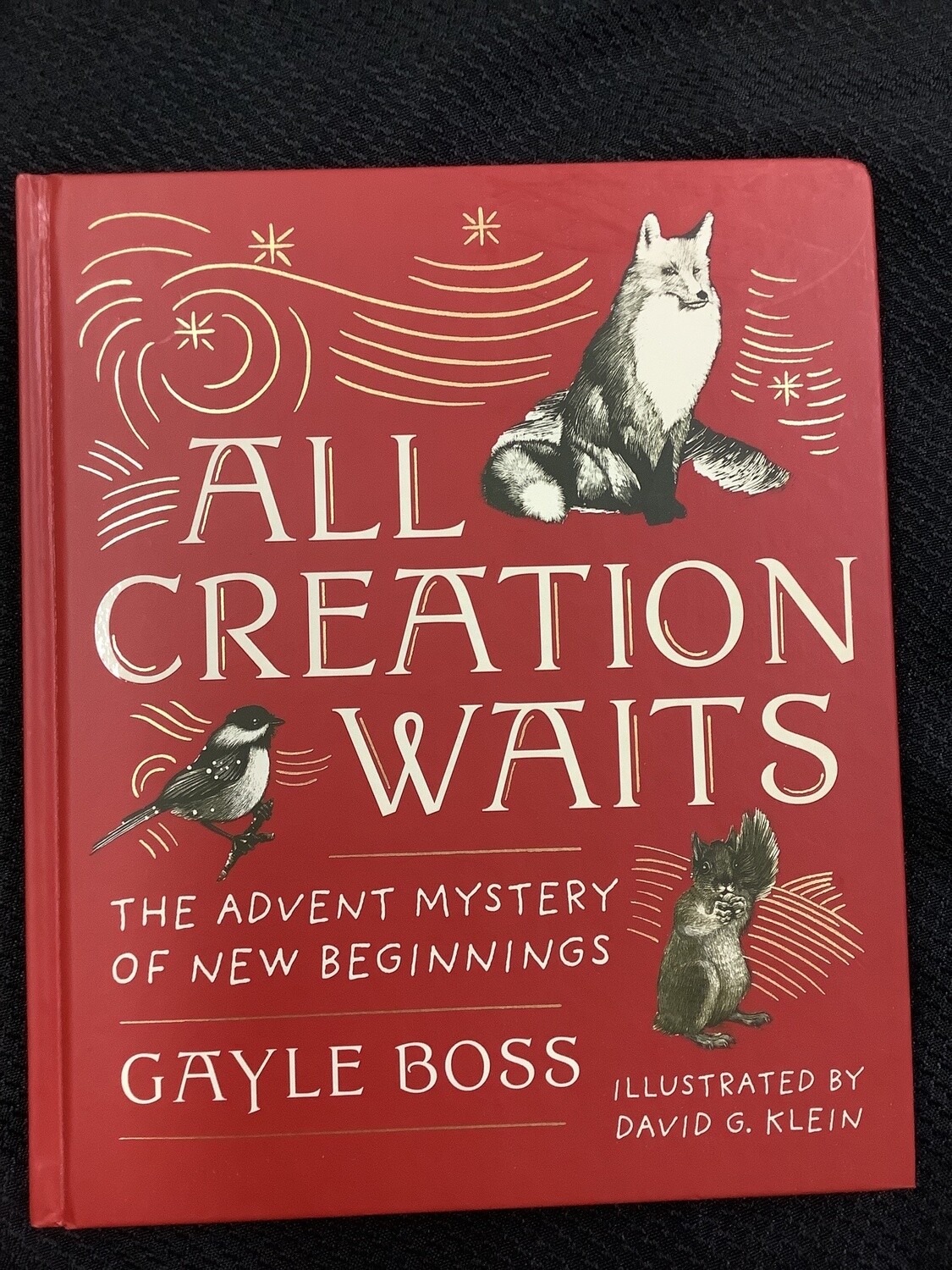 All Creation WaitsThe Advent Mystery of New Beginnings - Gayle Boss, David G. Klein