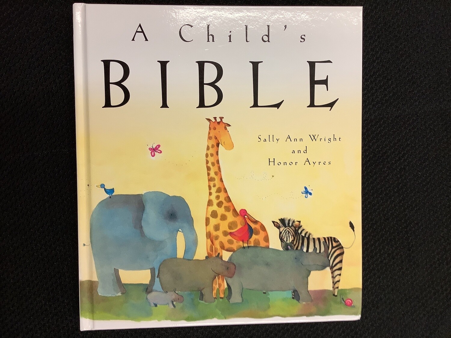 A Child's Bible - Sally Ann Wright, Honor Ayres
