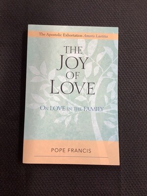 The Joy Of Love on Love in the Family - Pope Francis