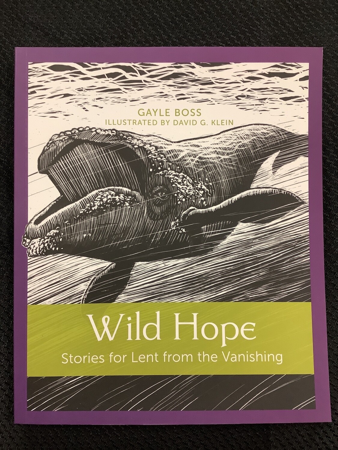 Wild Hope Stories for Lent from the Vanishing - Gayle Boss, David G. Klein