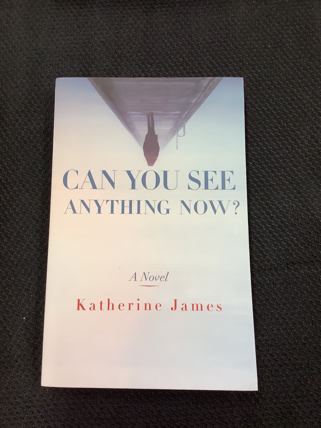 Can You See Anything Now? - Katherine James