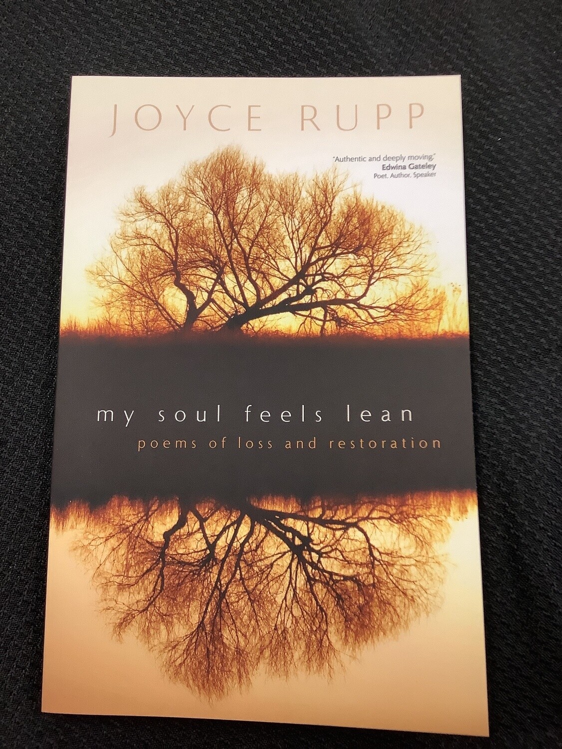 My Soul Feels Lean Poems of Loss and Restoration - Joyce Rupp