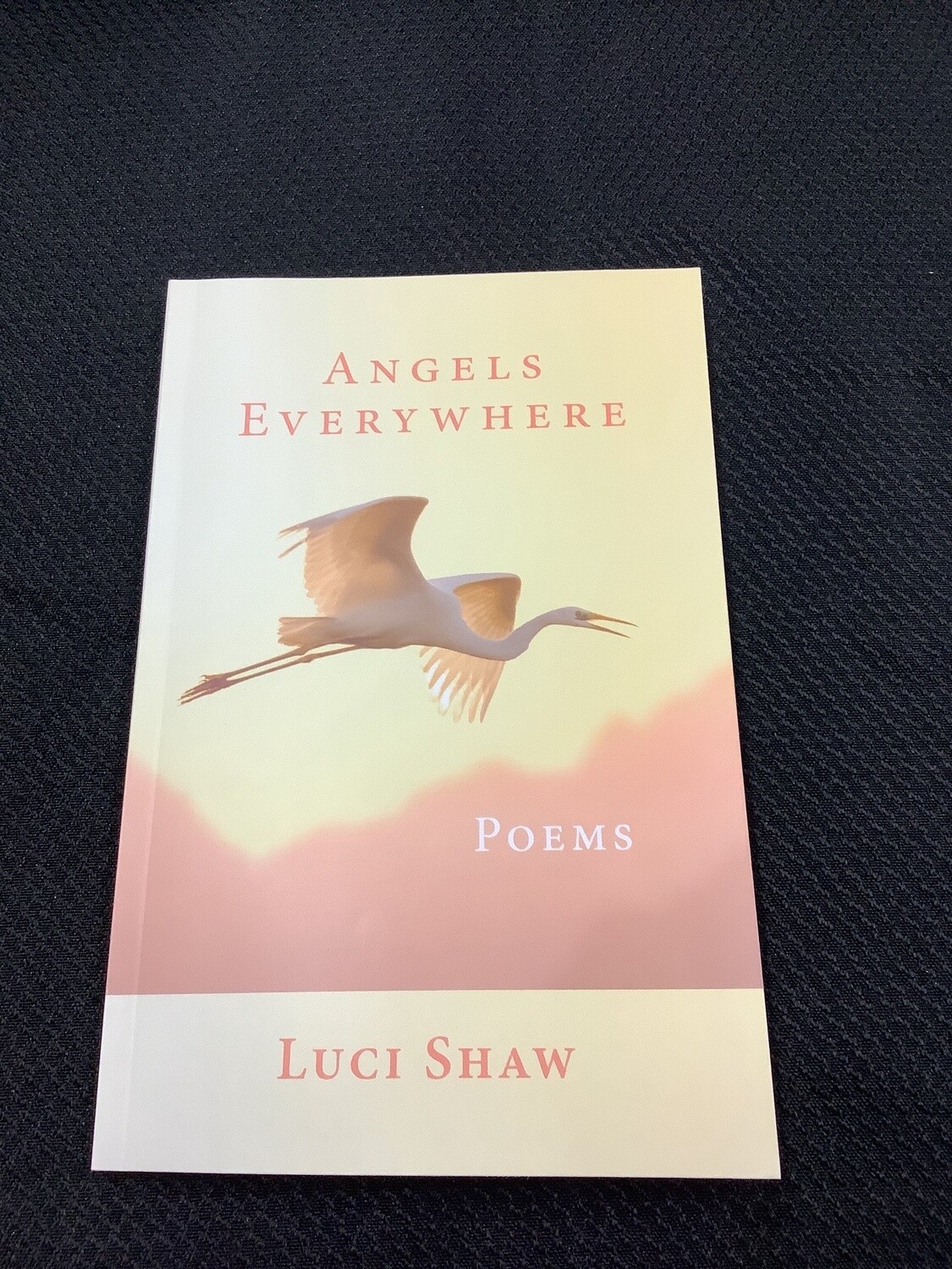 Angels Everywhere Poems - Luci Shaw