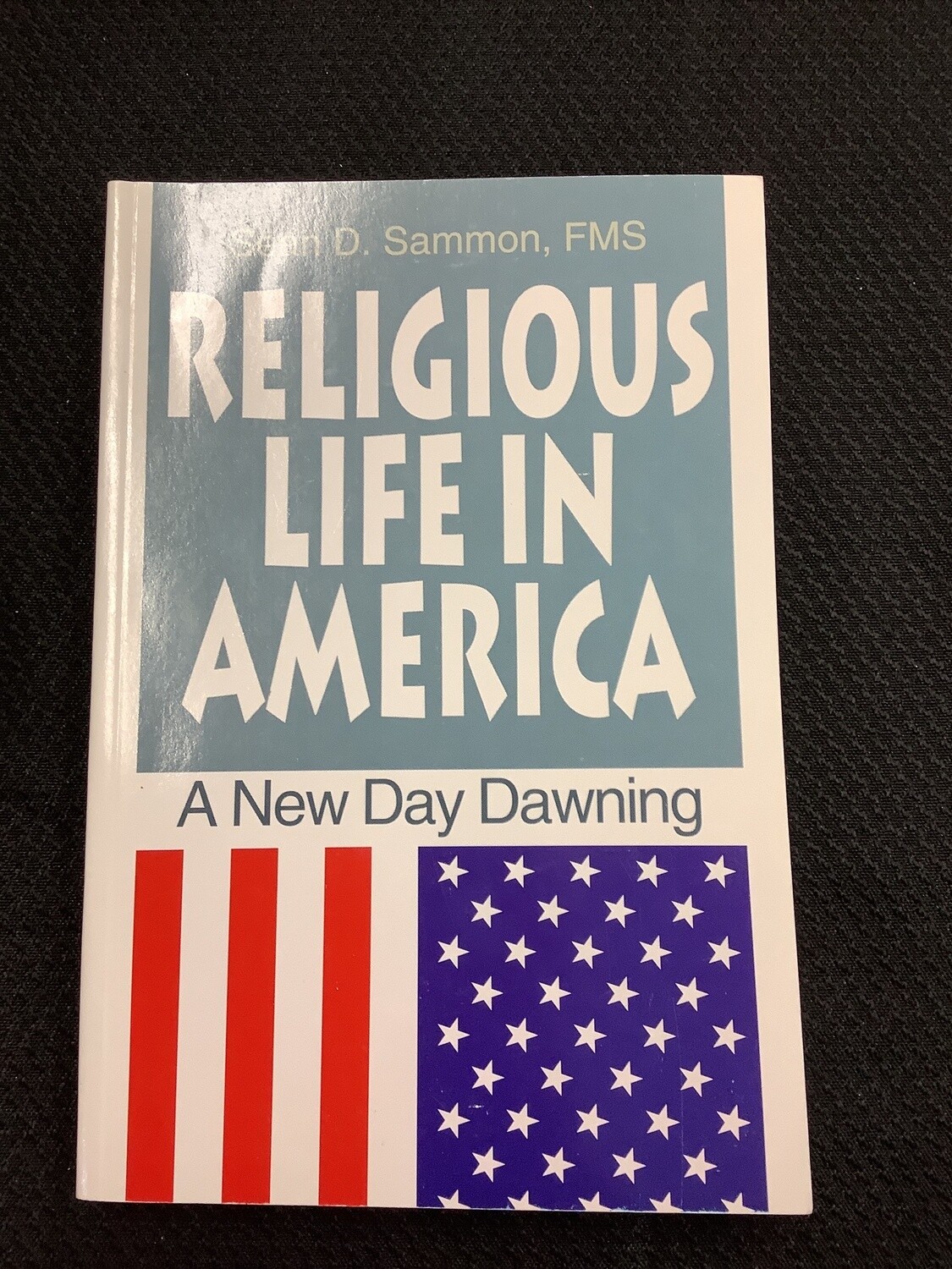 Gently Used Religious Life in America A New Day Dawning - Seán D. Sam on, FMS