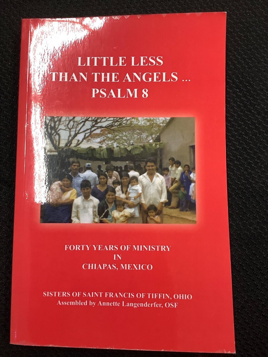 Little Less Than The Angels Psalm 8 - Sisters of Saint Francis of Tiffin, Ohio