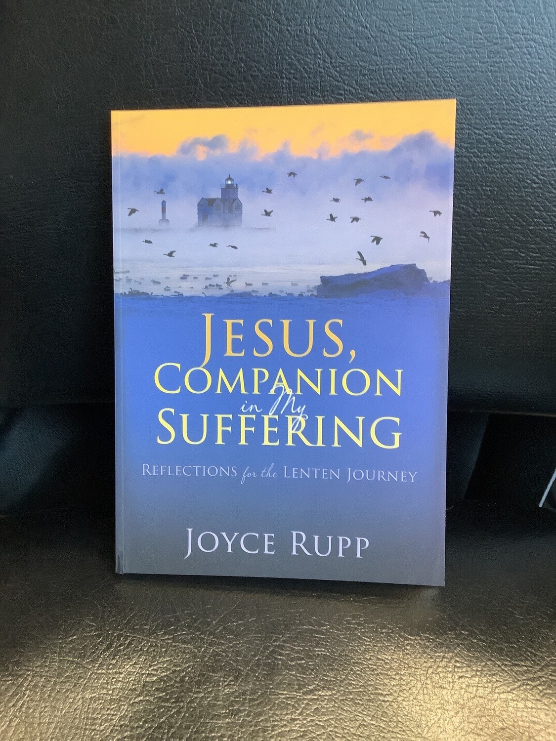 Jesus, Companion in My Suffering Joyce Rupp
