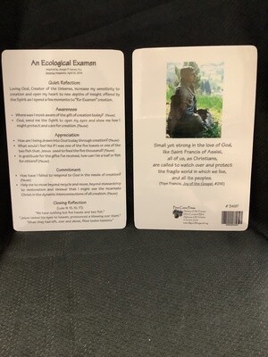 An Ecological Examen