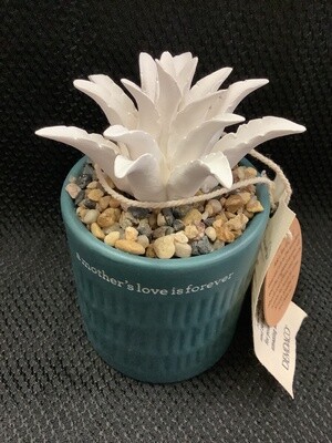 Succulent Oil Diffuser