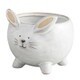 Bunny Pot