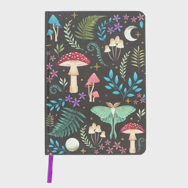 Dark Forest Notebook