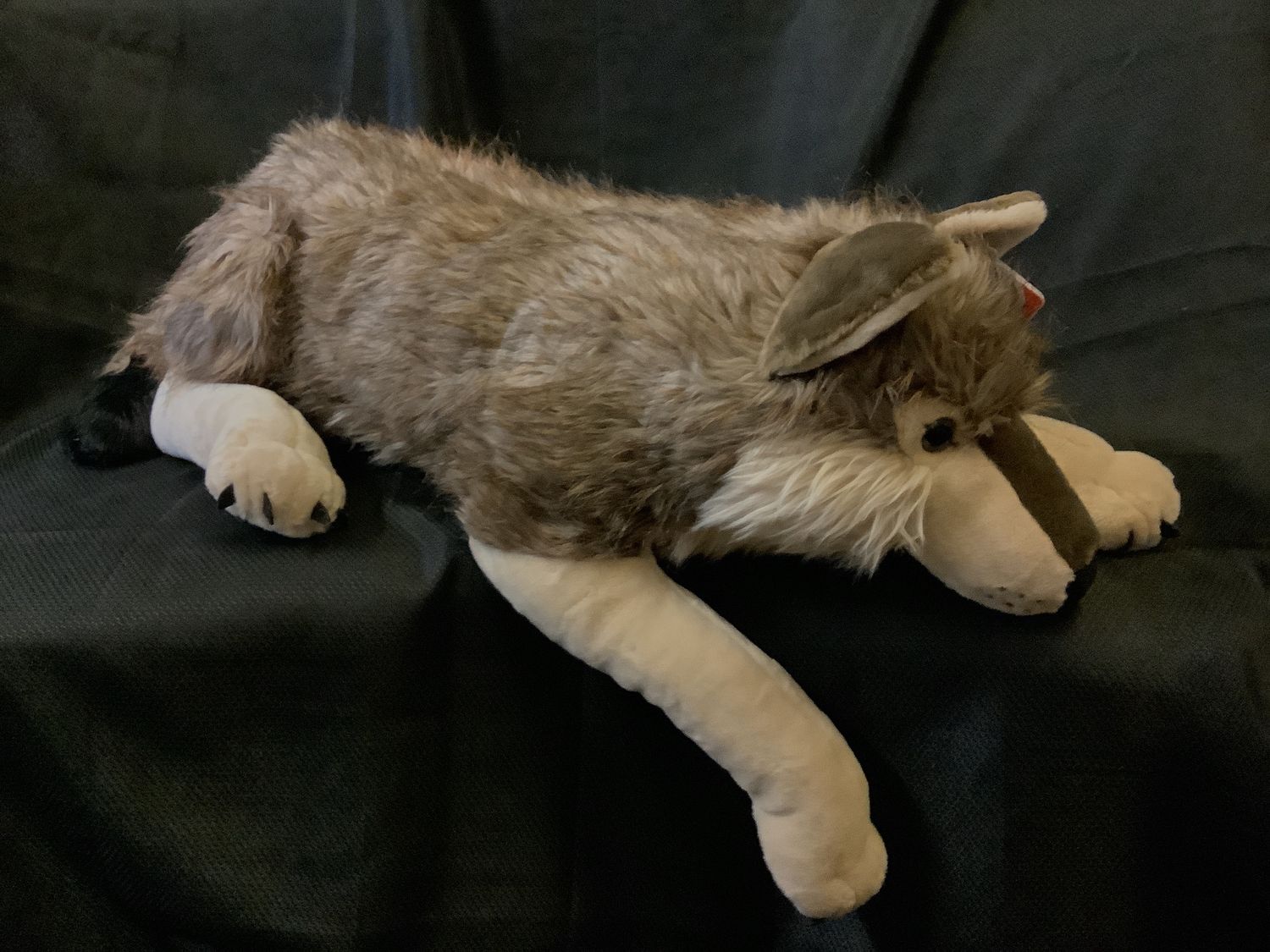 Jumbo Wolf