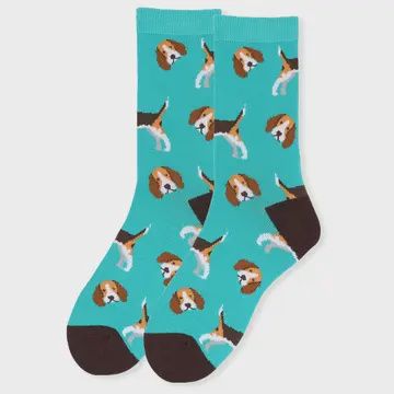 Beagle Dog Socks