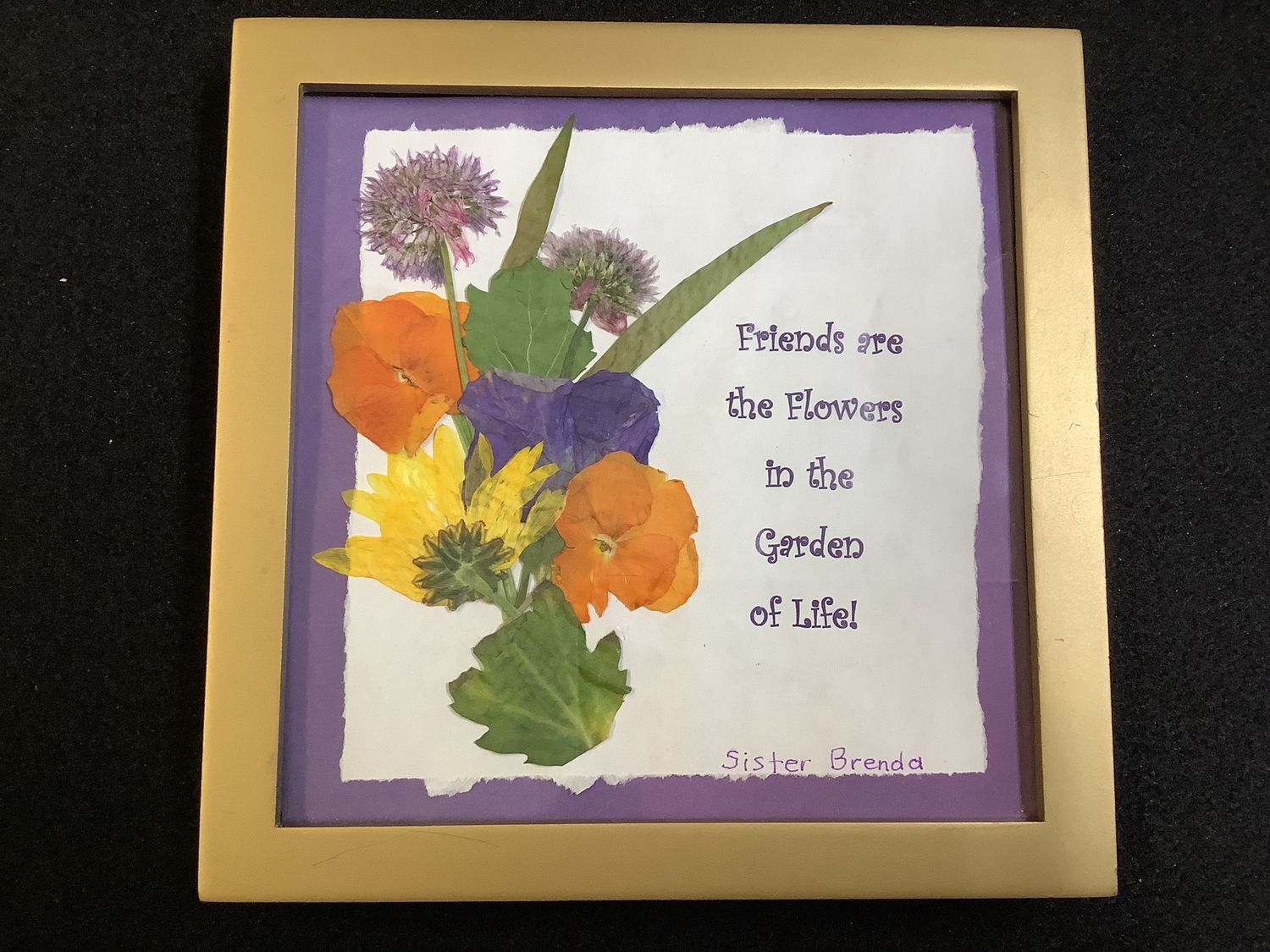 Pressed Flowers by Sr. Brenda