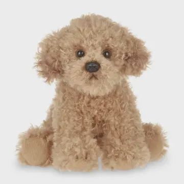 Lil&#39;Doodles The Labradoodle