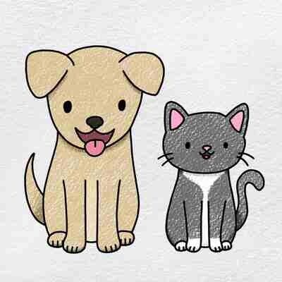Pets
