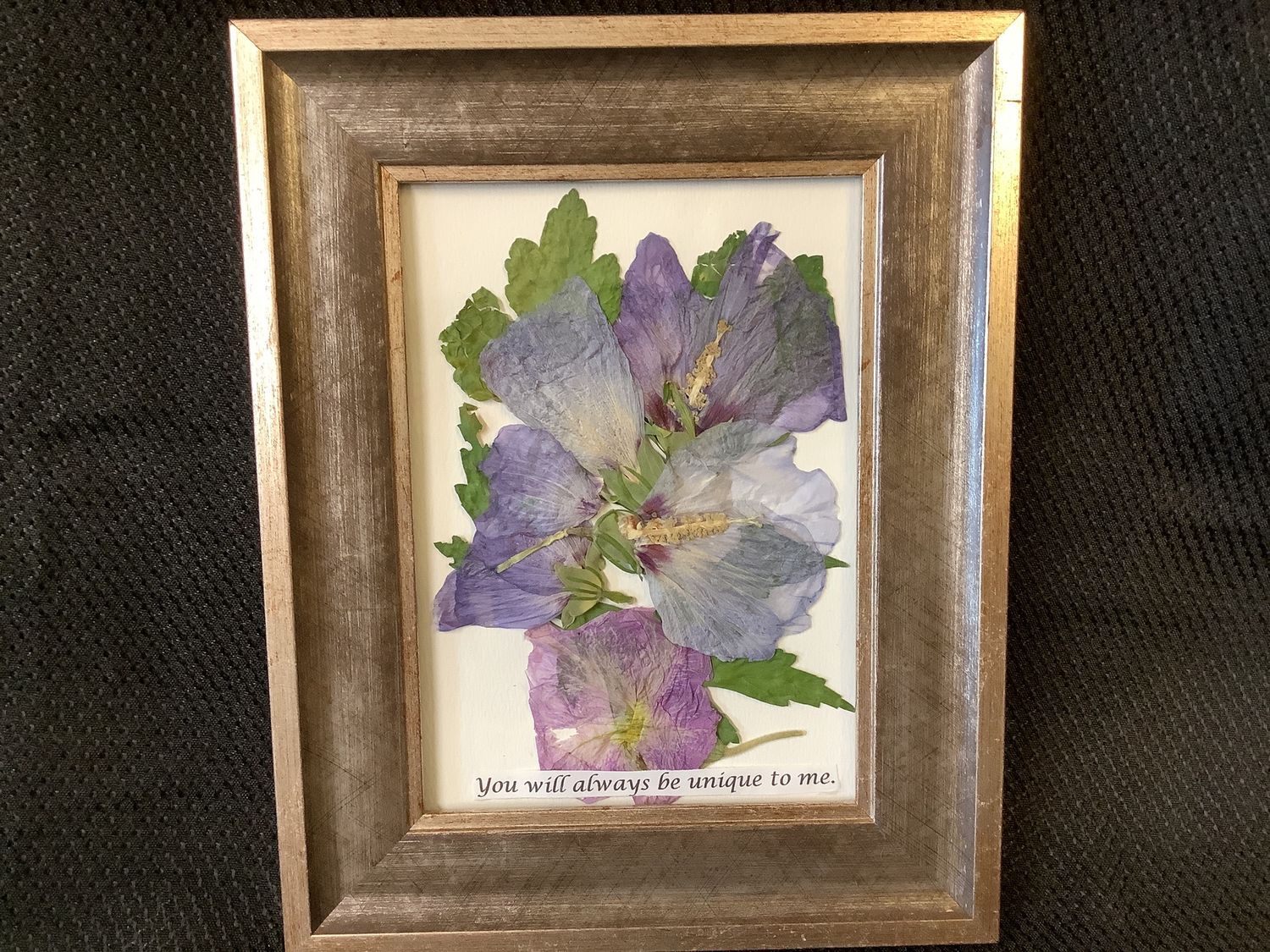 Pressed Flowers by Sr. Brenda
