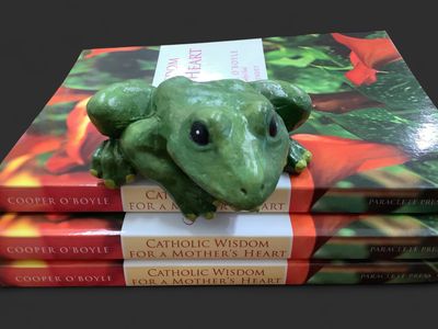 Frog Shelf Sitter