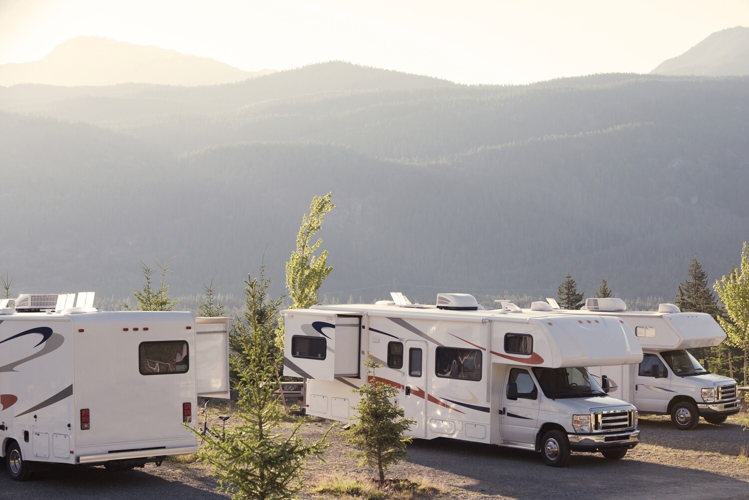 Lodi Location  - Large Item - Over 8 feet tall