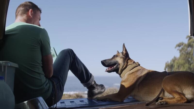 For what reason is it Necessary to Certify your ESA Dog: 2022
