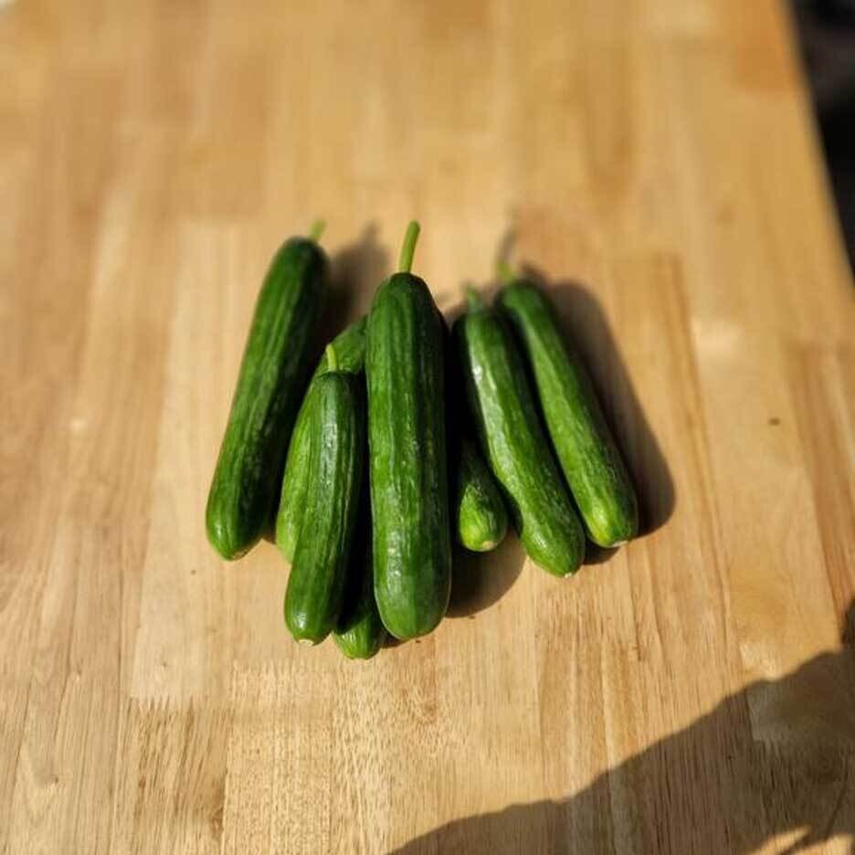 Cucumbers - Picolini