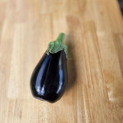 Eggplant - Traviata Eggplant