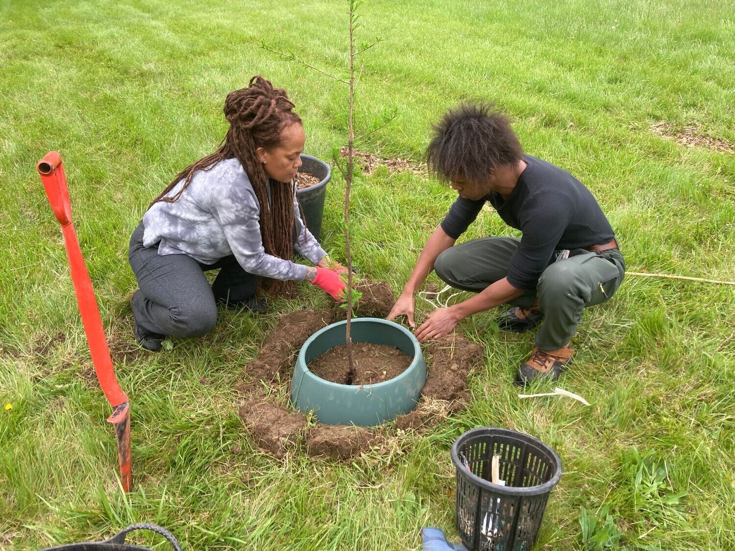 3-Gallon Container Tree Charitable Gift