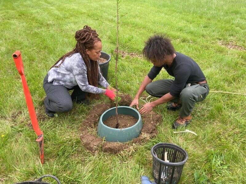 3-Gallon Container Tree Charitable Gift