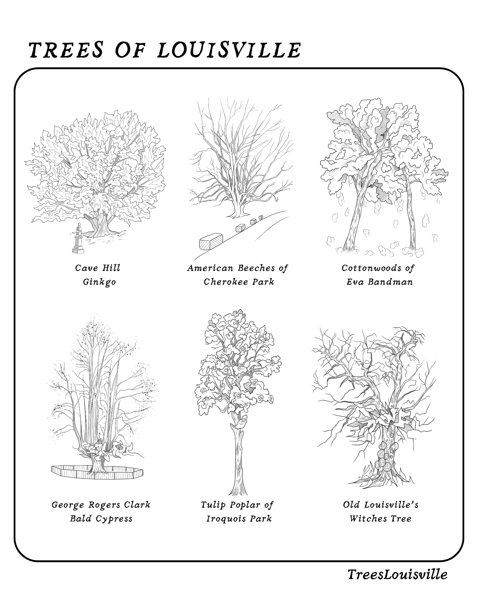 Trees of Louisville T-Shirt