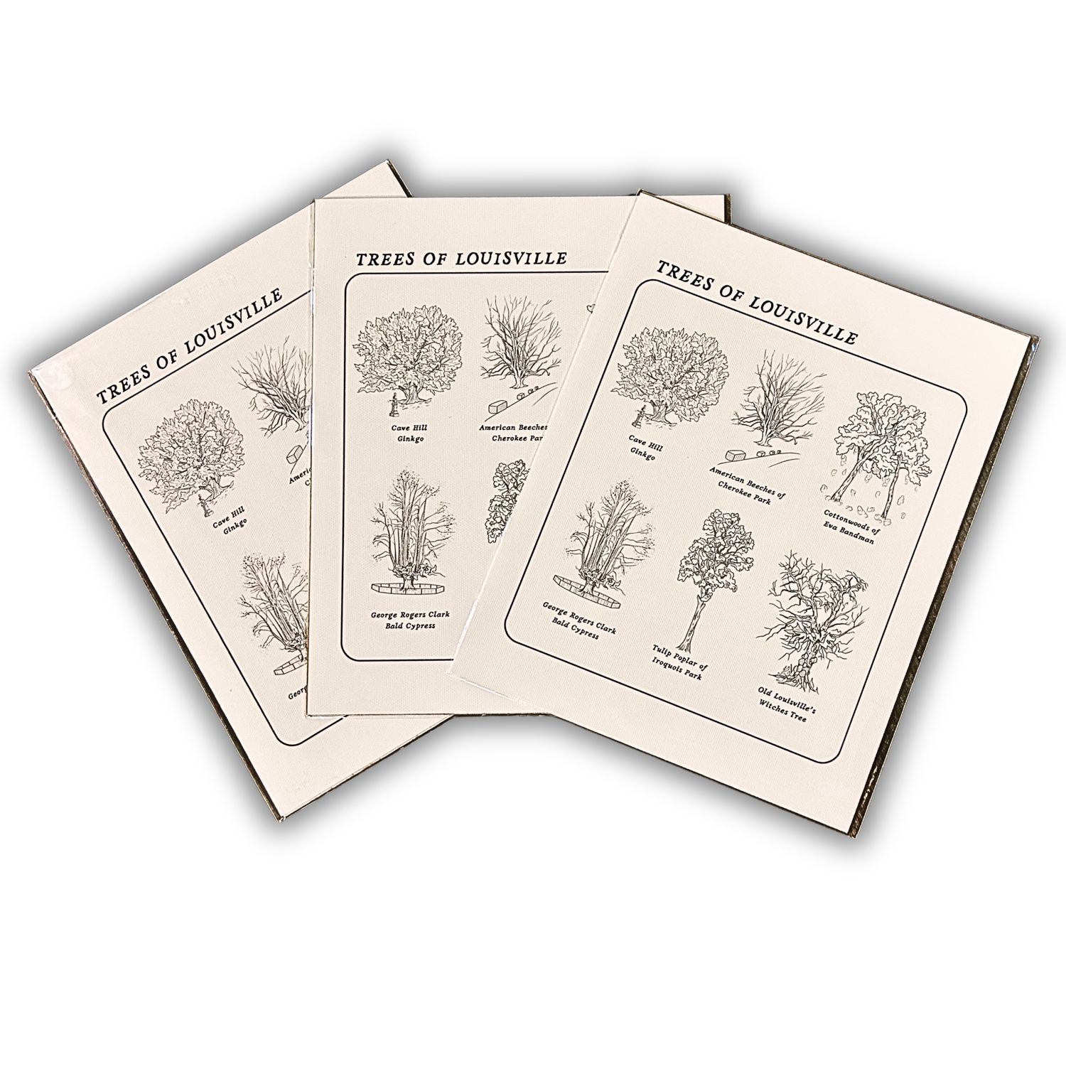 Trees of Louisville Print
