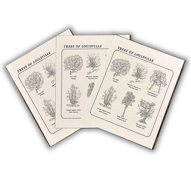 Trees of Louisville Print