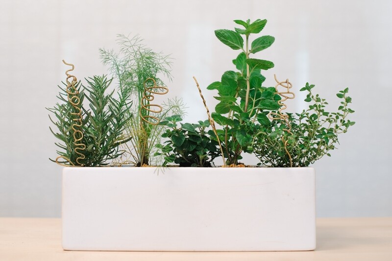 Herb Planter